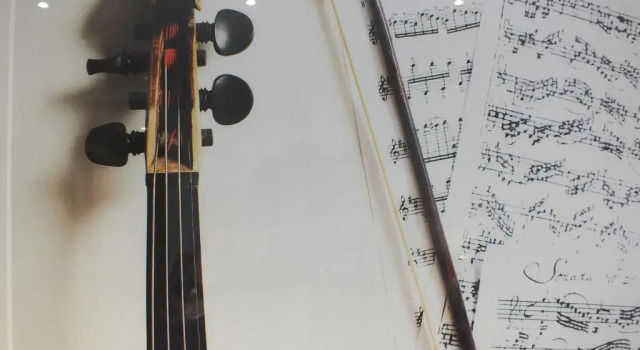 Одноместный номер Standard Hotel Paganini