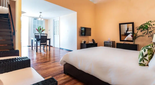 Двухместный лофт люкс Gaia Hotel & Reserve- Adults Only