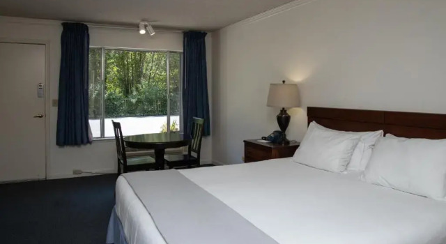 Номер Standard The Occidental Lodge