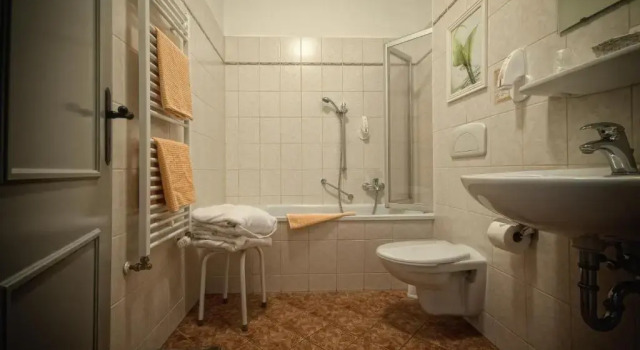 Одноместный номер Standard Hotel zur Henne