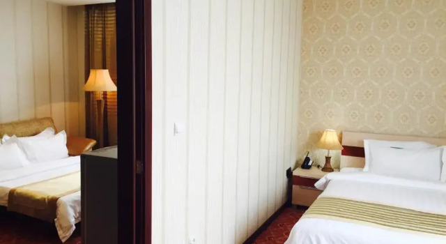 Двухместный номер Deluxe Springs Hotel Ulaanbaatar