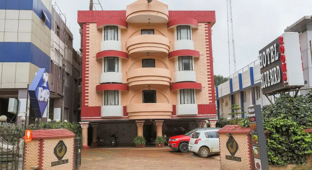 OYO 48910 Hotel Blue Bird