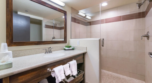 Четырёхместный номер Deluxe с видом на озеро Hoover Dam Lodge