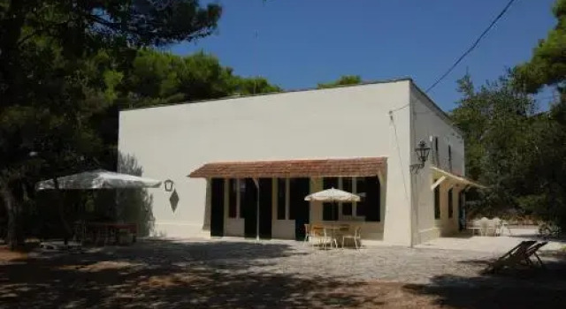 Villa nella Pineta