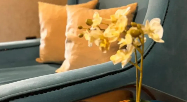 Villa Aroma 2, Забронировать Вилла Орашье Республика Сербская
