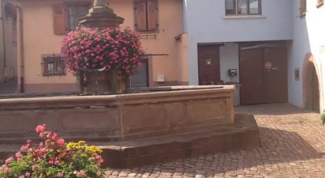 Le gîte de Marie-Odile, Забронировать Апартаменты/квартира Гебершвир Alsace Wine Route