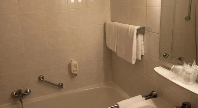 Трёхместный номер Standard Hotel Seegarten Quickborn