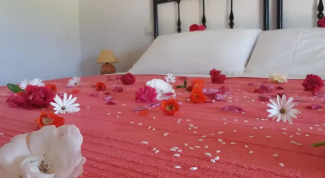 Бунгало Agriturismo Sa Mendhula