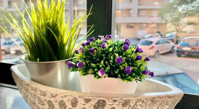 Апартаменты University of Minho- INL Campus Gualtar Apartment