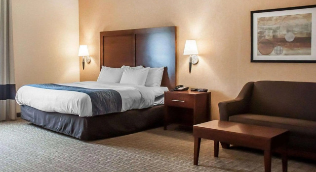 Comfort Inn & Suites Hamburg - Buffalo South