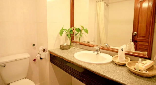 Двухместный номер Deluxe c 1 комнатой ANGKOR DINO HOME