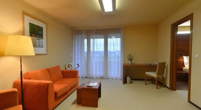 Люкс Deluxe Park Holiday Congress & Wellness Hotel