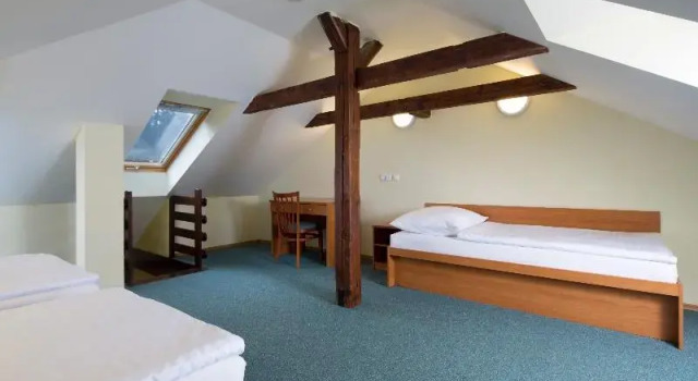 Люкс Standard Spa Resort Libverda - Hotel Panorama