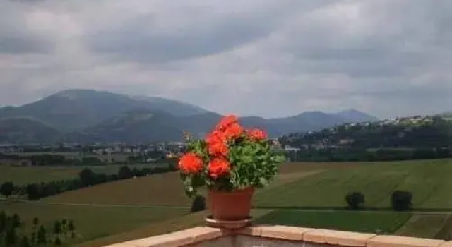 Agriturismo Coppo