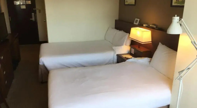 Двухместный номер Standard City Pension Zem