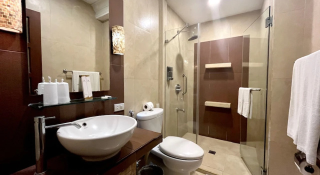 Двухместный номер Superior Hotel Del Rio