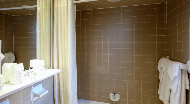 Двухместный номер Standard Wellington Hotel