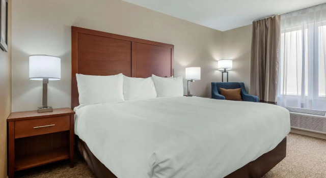 Двухместный номер Standard Comfort Inn & Suites