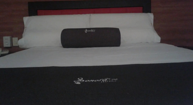 Hotel Sonora