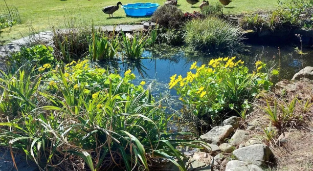 A Serene and Tranquil Escape for two, Prenota Casa vacanze Wrexham Clwyd