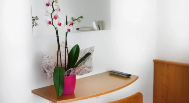 Номер Standard Hotel Daniela