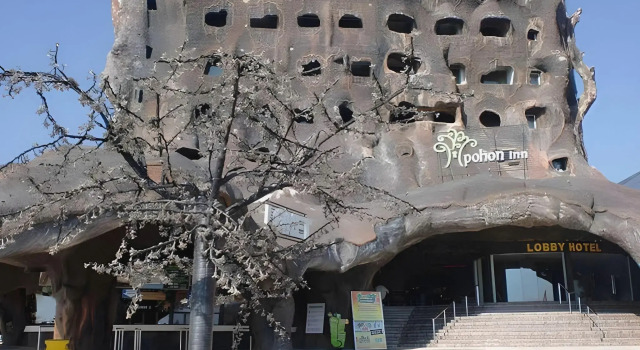 Pohon Inn Hotel