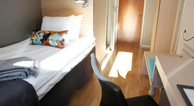 Одноместный номер Standard Hotell Aston