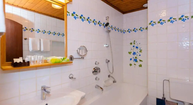 Полулюкс с красивым видом из окна Landhotel Groggerhof