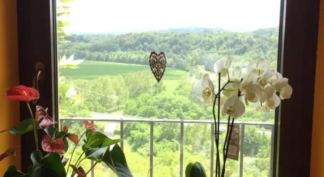 Bed And Breakfast San Fiorenzo, Забронировать Отель «постель и завтрак» Бастия-Мондови Ланге