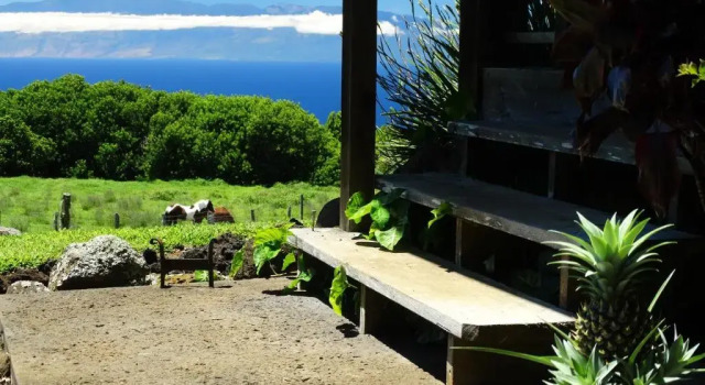 Коттедж Kohala Lodge- Vacation Rental House