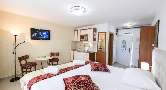 Студия Standard Sunčani Breg Apartments Vrdnik