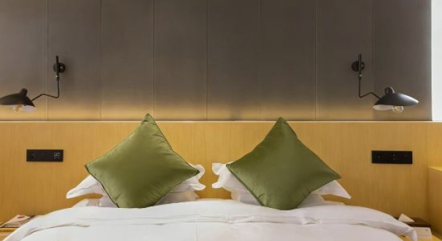 Люкс Xiamen Dayin Homestay (Gaoqi Airport Jimei Xuecun Branch)