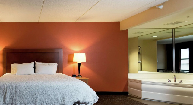 Двухместный номер Deluxe Hampton Inn Muskegon