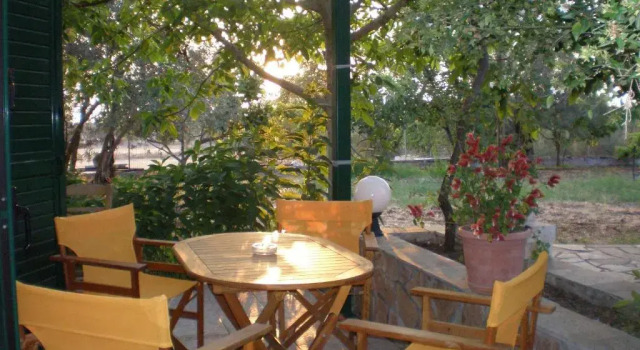 Студия Vasiliki Petri Olive House
