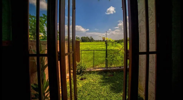 Номер Standard Heaven Upon Rice Fields