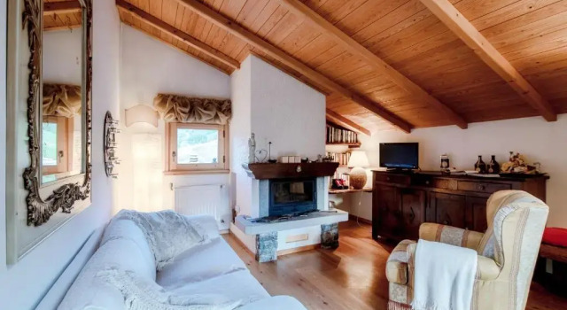 Charming Mountain Penthouse