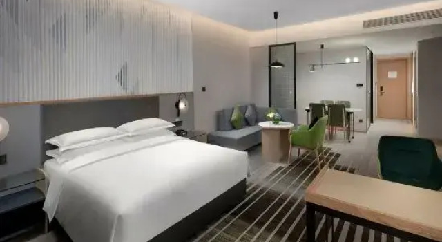 Двухместный люкс c 1 комнатой Holiday Inn & Suites Wuhan International Expo