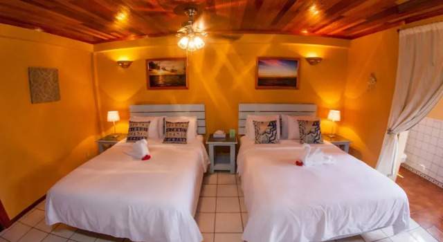 Hummingbird Home Suites Queen Room 3-1