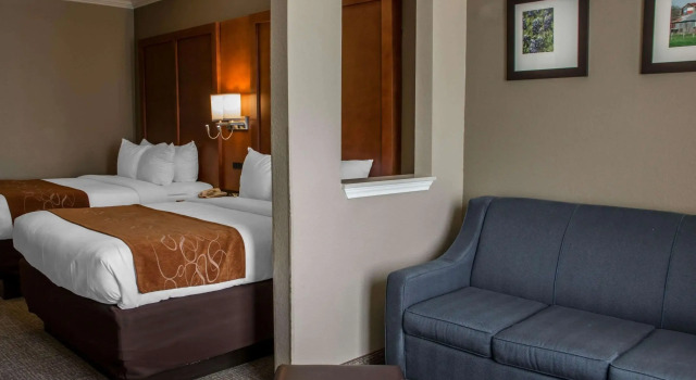 Четырёхместный люкс Comfort Suites New Braunfels - San Antonio Area