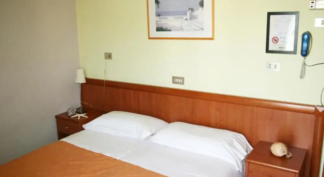Двухместный номер Standard Albergo Ristorante Protti