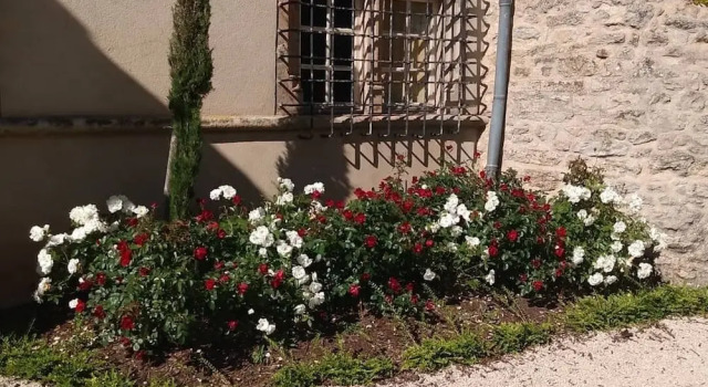 Château de Balsac