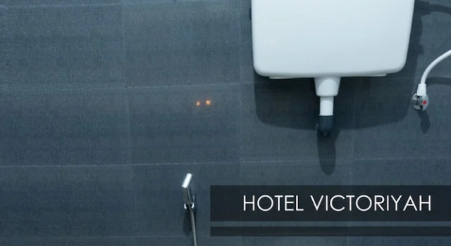 Номер Deluxe Hotel Victoriyah
