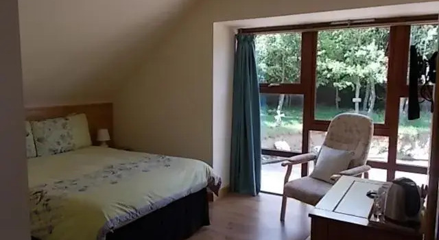 Camera Standard Forest View