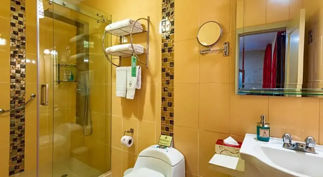 Номер Standard Hotel Boutique Los Balcones