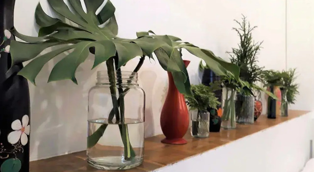 Коттедж Deluxe Family Home Chiang Mai - Lino House