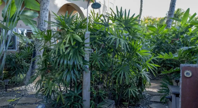 Номер Standard Maui Beach House B & B