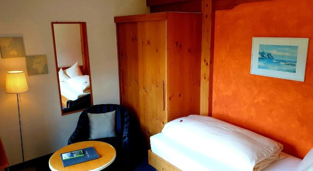 Одноместный номер Standard Hotel Alpin