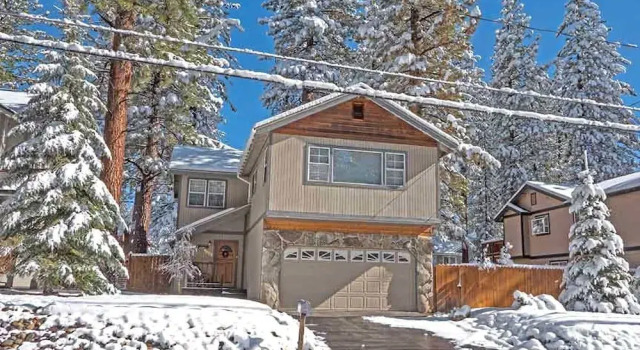 1209 Golden Bear By Redawning
