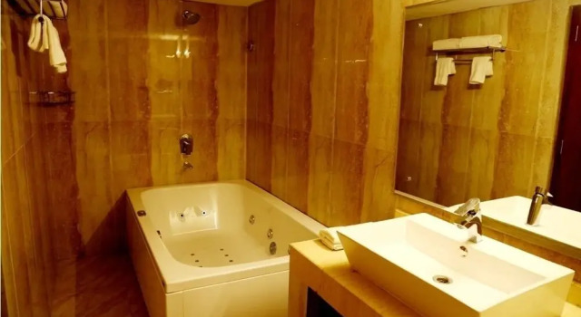 Люкс Presidential c 1 комнатой с видом на город The Ocean Pearl Udupi