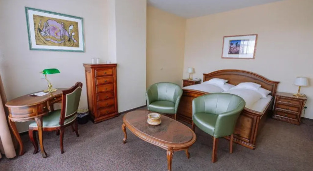 Полулюкс Pannonia Hotel
